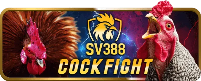 Tin tức Thể Thao 88